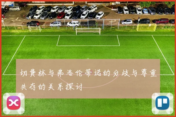 切费林与弗洛伦蒂诺的分歧与尊重共存的关系探讨