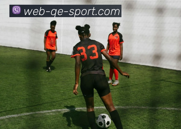 企鹅体育平台生态图